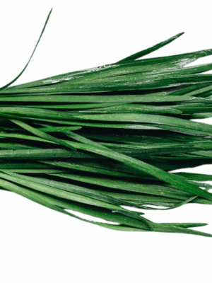 Garlic Chives