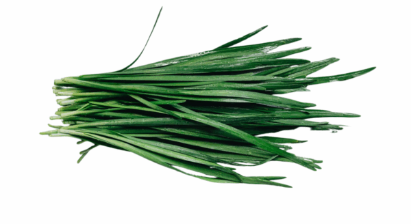 Garlic Chives