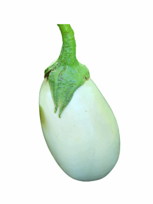 Eggplant