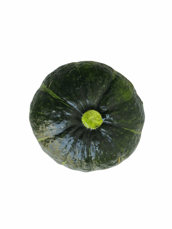 Kabocha Squash