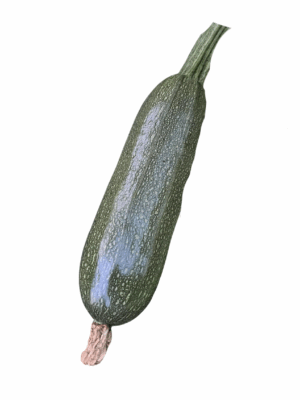 zucchini