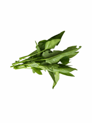 Water Spinach (空心菜)