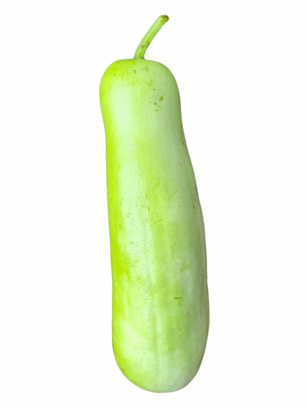 Bottle Gourd (葫瓜)