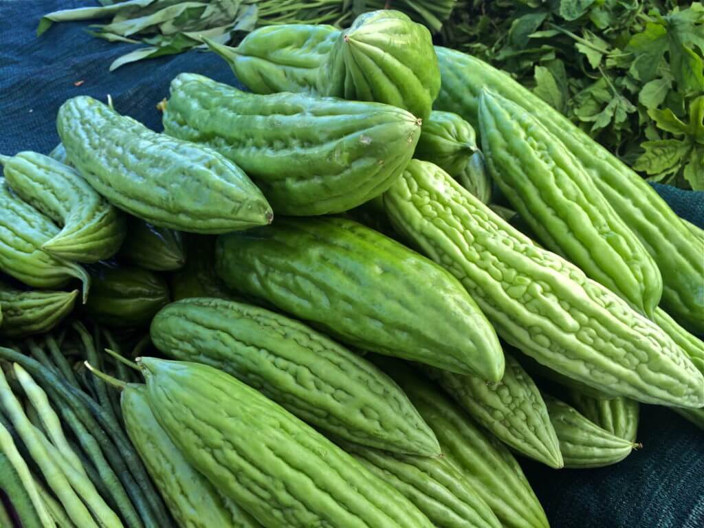 Bitter Melon